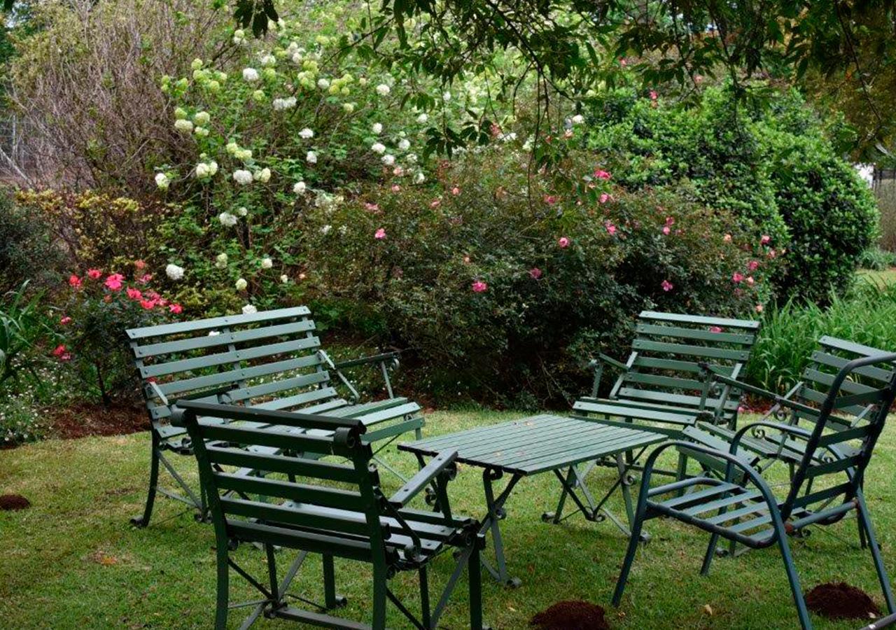Amber Avenue Guesthouse Гауік Екстер'єр фото